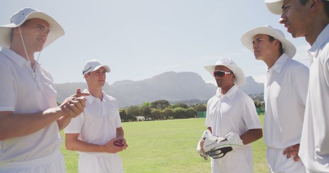 Cricket Team Strategizing Outdoors on a Sunny Day - Download Free Stock Images Pikwizard.com