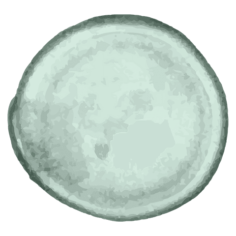 transparent green circle with gradient design and copy space background - Download Free Stock Videos Pikwizard.com