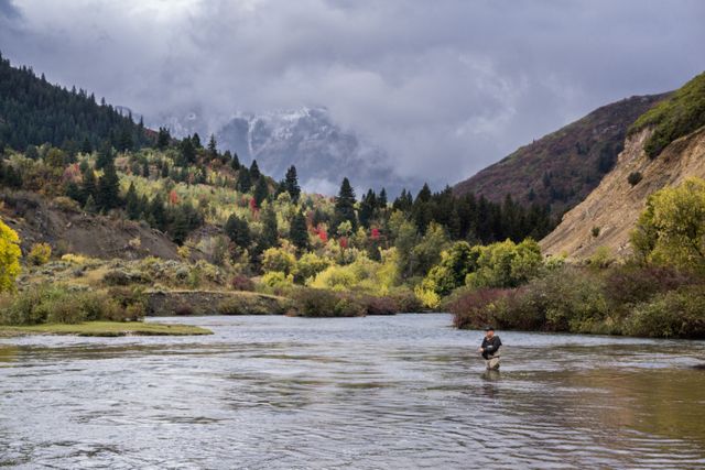 Man is engaged in fly fishing against backdrop of picturesque mountain river during autumn. Dense trees and colorful foliage add vibrancy while the overcast sky evokes calm atmosphere, ideal for peaceful outdoor adventures. Suitable for advertisements promoting outdoor activities, tourism, fishing gear.