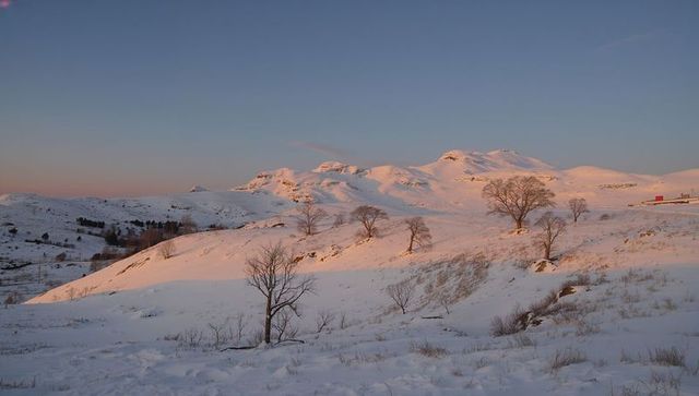 Sunrise bathing snow-covered hillside, bare trees casting long shadows, distant red barn