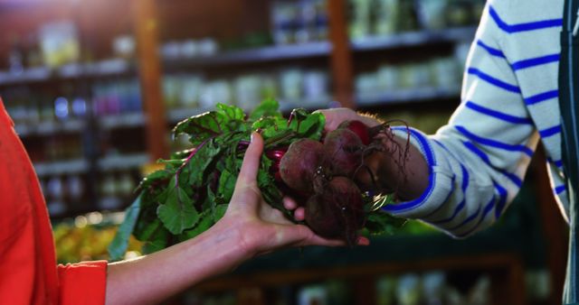 Farmer's Market Customer Receiving Fresh Beetroots - Download Free Stock Images Pikwizard.com