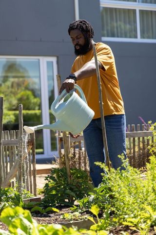 African american gardener watering raised bed with green can in sunlit backyard