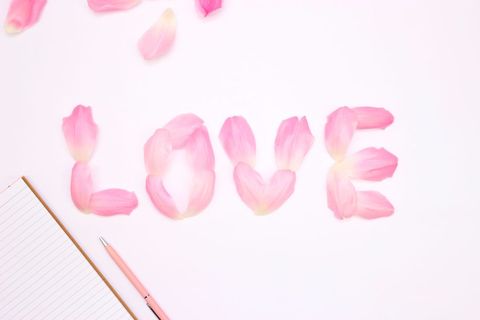 Pink Blossoms Forming the Word Love in Artistic Display