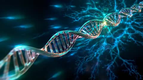Energy-Charged DNA Strand Flowing in Digital Space
