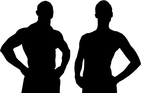 Dynamic sports silhouettes on transparent background