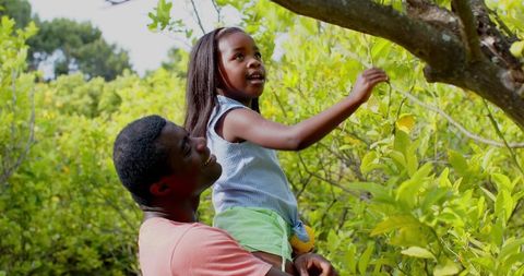 Father Lifting Daughter Toward Fruit in Sunny Orchard