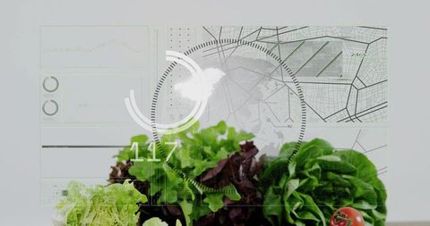 Lettuce and cherry tomato with holographic hud overlay for smart agriculture quality control