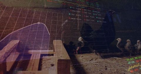 Complex Animal Farming Data Analytics Integration