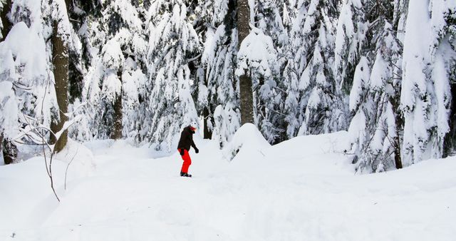 A person in winter clothing is snowboarding through a snowy forest landscape, with copy space. Snow-covered trees provide a serene backdrop for this winter sport activity.