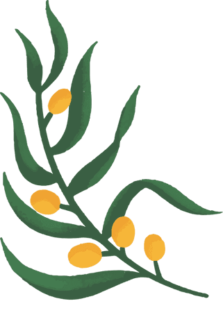 Handcrafted botanical art with leaves and yellow fruits on transparent background