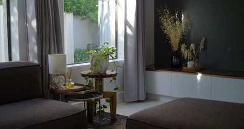 Cozy minimalist living room corner featuring gray sectional, sunlit window, indoor plants