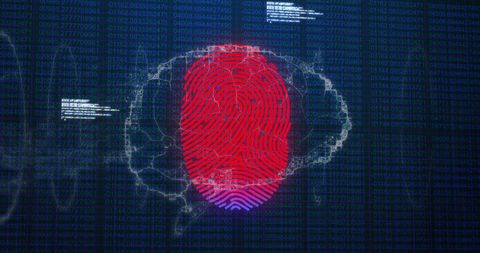 Digital Fingerprint over Brain Data Network - Download Free Stock Images Pikwizard.com