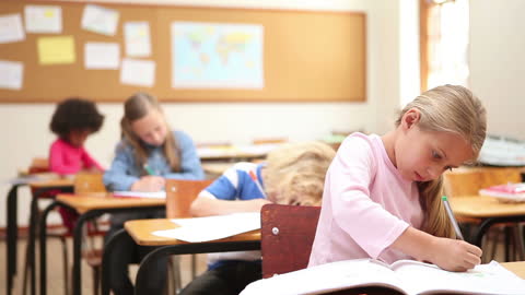 Focused Student Engaging in Classroom Learning Activity