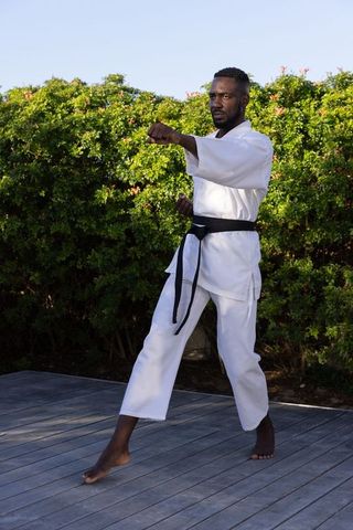 African American Karate Expert Performing Outdoor Punch