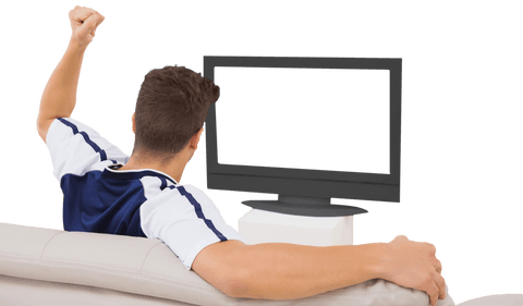 Transparent Viewing Experience with Enthusiastic Sports Fan - Download Free Stock Videos Pikwizard.com