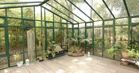Minimalist Greenhouse Using Potted Plants and Yoga Space for Relaxation