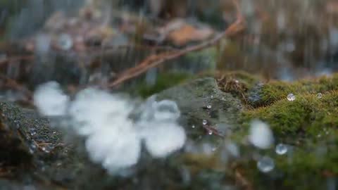 Slow-motion hail pelleting mossy rock on woodland floor, macro closeup of droplets