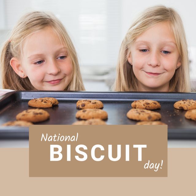 Sisters Looking at Chocolate Chip Cookies on National Biscuit Day - Download Free Stock Templates Pikwizard.com