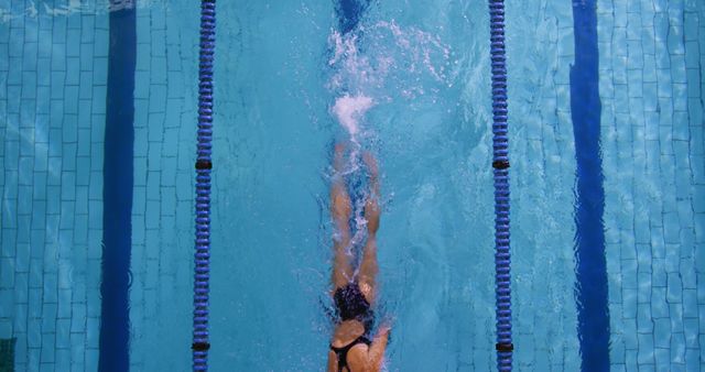 Swimmer Spotted from Above in Pool Lane Diving into Water - Download Free Stock Images Pikwizard.com