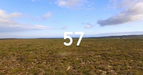 Number overlay on idyllic natural landscape