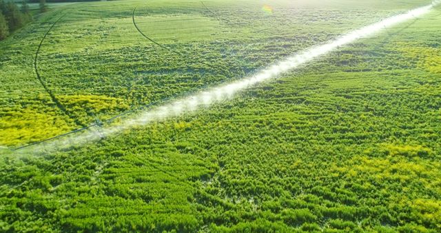 Aerial view shows irrigation system sprinkling water over large green field during early morning. This is ideal for use in articles about agriculture, sustainable farming, and rural landscapes. Great for advertisements on modern farming techniques and environmental conservation in agriculture.
