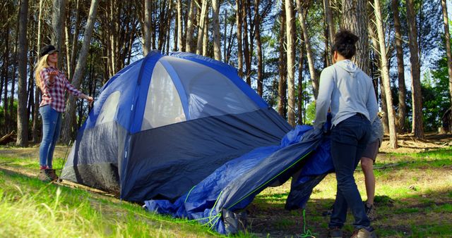 Friends Setting Up Tent in Sunlit Forest - Download Free Stock Images Pikwizard.com