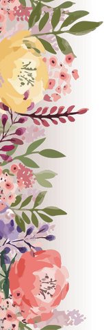 Colorful botanical floral border on transparent background