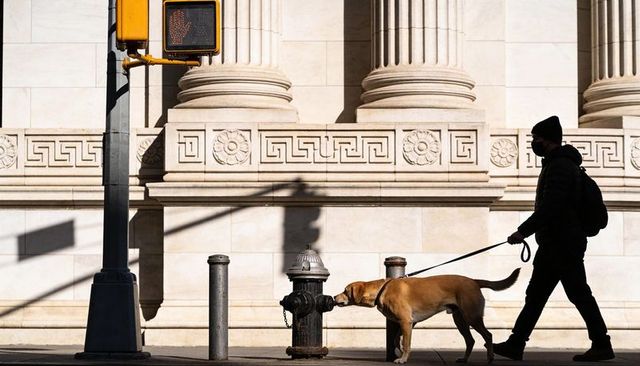 Silhouetted dog walker passing fire hydrant by neoclassical columns with long shadows
