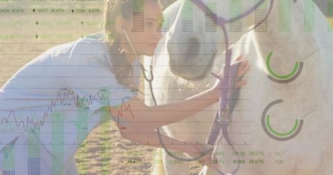 Veterinarian Examining Horse with Financial Data Overlay Concept