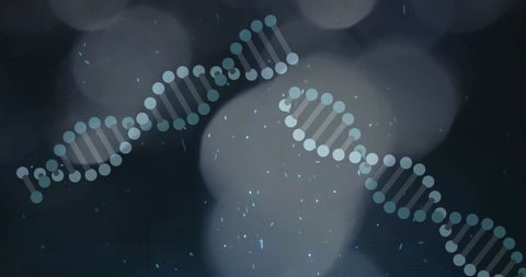 Digital Representation of DNA Strands in Scientific Research - Download Free Stock Images Pikwizard.com