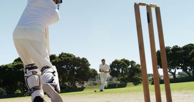 Cricketer Bowling Ball to Batsman on Outdoor Pitch - Download Free Stock Images Pikwizard.com