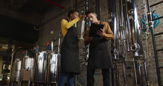 Team Working in Brewery Using Digital Tablet and Equipment - Download Free Stock Images Pikwizard.com