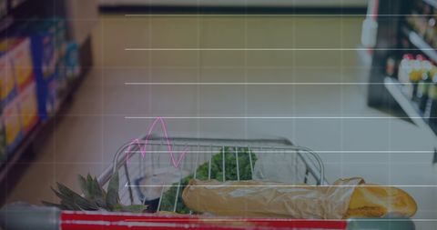 Data Visualization Over Grocery Shopping Trolley in Supermarket - Download Free Stock Images Pikwizard.com