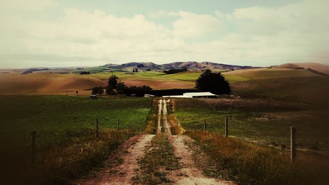 Rural dirt road stretching through green rolling hills leading to a distant farm. Ideal for themes of tranquility, agriculture, country living, and travel. Suitable for website banners, environmental blogs, agricultural publications, and travel brochures.