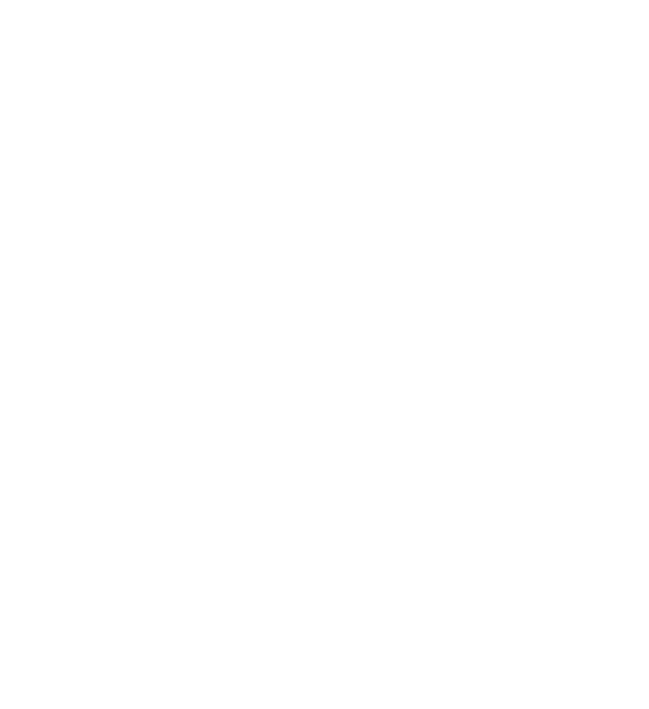 Transparent Female Silhouette Touching Head Isolated on White Background - Download Free Stock Videos Pikwizard.com