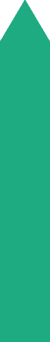 wide green arrow on transparent background - Download Free Stock Videos Pikwizard.com