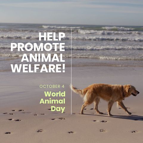 golden retriever promoting animal welfare on world animal day - Download Free Stock Templates Pikwizard.com