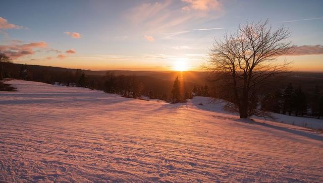 Sunset casting long shadows over snowy hillside with lone bare tree and footprints