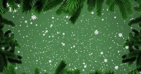 Falling Snowflakes with Fir Branch Border on Green Background