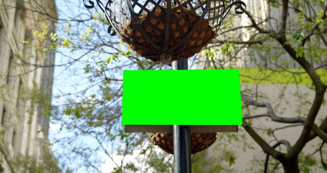 Blank Green Signpost in Urban City Park - Download Free Stock Images Pikwizard.com