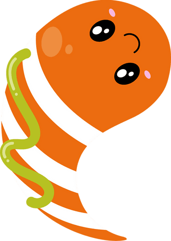 Kawaii-style vibrant shrimp character floating on transparent background