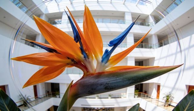 Bird of paradise blooming in sunlit atrium with glass skylight and architectural shadows