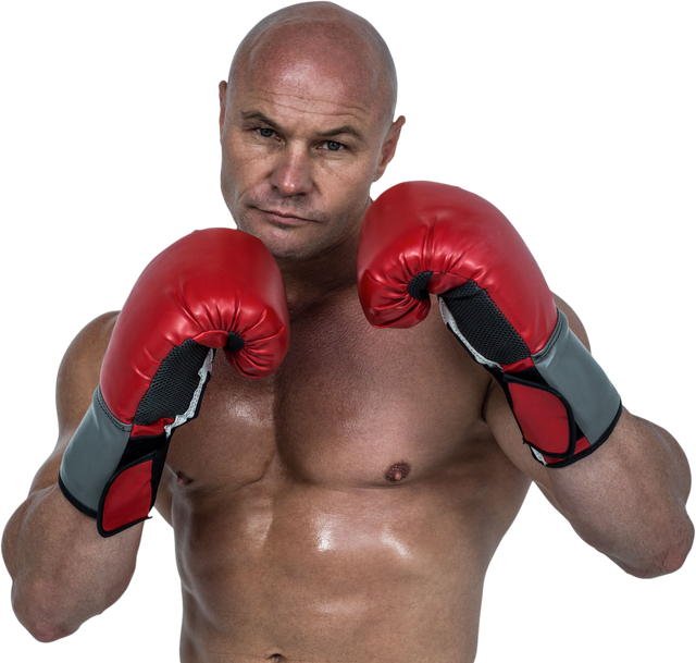 Transparent Image of Bald Boxer Wearing Red Boxing Gloves - Download Free Stock Videos Pikwizard.com