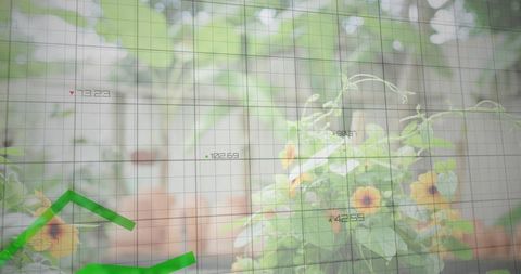 Urban balcony garden showing climbing vines with green data overlay for sustainable growth
