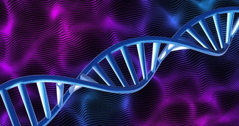 dna strand with vibrant purple and blue wavy background - Download Free Stock Images Pikwizard.com