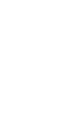 Transparent Silhouette of Goalkeeper Capturing Soccer Ball