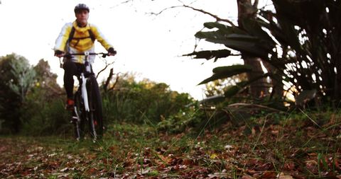 Middle-aged Man Enjoying Cycling in Picturesque Park