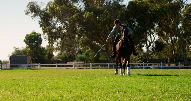 Rider Practicing Polo on Green Field on a Sunny Day - Download Free Stock Images Pikwizard.com