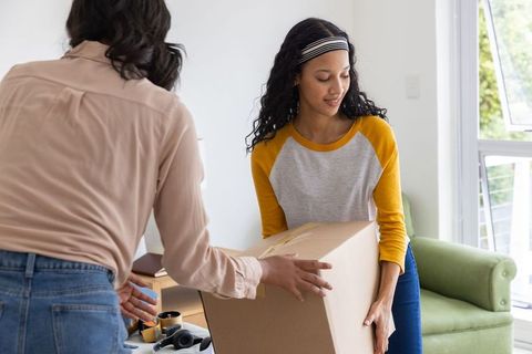 Roommates carrying moving box together in bright living room, collaborating while unpacking