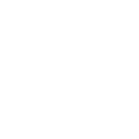 Seamless White Floral Illustration on Transparent Background - Download Free Stock Videos Pikwizard.com